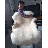 整张羊皮垫子纯羊毛毯子地毯皮毛一体沙发坐垫床边褥子飘窗羊毛垫