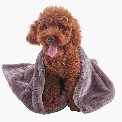 宠物毯子盖毯狗狗被子冬季加厚小毛毯窝垫法兰绒泰迪金毛保暖垫
