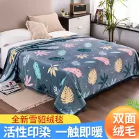 珊瑚绒毯子毛毯盖毯夏天雪貂绒空调毯双面绒床单冬季双人单人被子