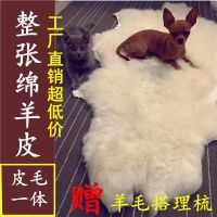 整张羊皮皮毛一体羊毛沙发垫床边客厅地毯纯羊毛飘窗垫子毯子坐垫
