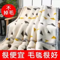 珊瑚绒毛毯夏冬季拉舍尔毛毯子加厚双层学生床单双人保暖被子