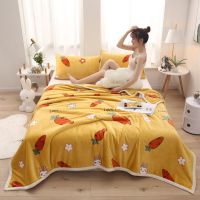 珊瑚绒法莱绒毛毯盖毯空调毯子摆地摊柔软舒适四季通用