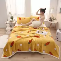 珊瑚绒法莱绒毛毯盖毯空调毯子摆地摊柔软舒适四季通用
