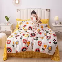 加厚保暖金貂绒床裙四件套珊瑚绒被套法莱冬季加绒牛奶绒床上用品