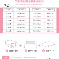床上用品三件套卡通网红床单被套简约磨毛学生宿舍3件套4被罩单件