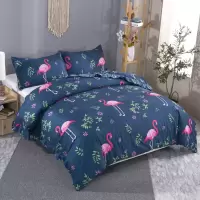 韩式加大加220x240厚韩式花边被套磨毛印花冬季被单被罩被套单件