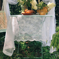 蕾丝控欧式韩式田园蕾丝餐桌布茶几布钢琴盖巾花园装饰拍照背景布