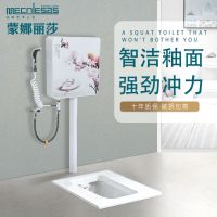 陶瓷蹲便器防臭水箱套装便盆成人家用蹲坑大便器便池蹬厕