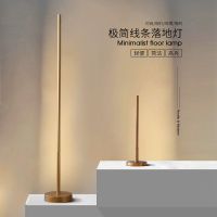 客厅落地灯卧室床头极简轻奢ins风少女阅读北欧简约现代立式台灯