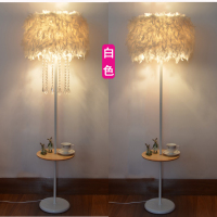 网红水晶羽毛白色立式落地灯婚庆客厅书房卧室床头台灯主播补光灯
