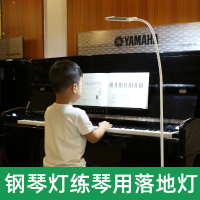 led钢琴台灯落地护眼书房卧室床头遥控专用古筝乐谱灯练钢琴灯
