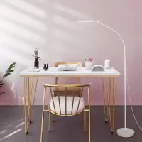 美容灯美睫灯led落地灯台灯种睫毛灯嫁接专用纹绣美甲灯具工作灯
