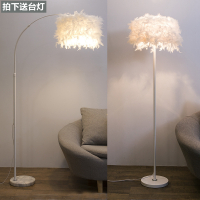 落地灯羽毛灯北欧ins风钓鱼灯遥控创意公主网红客厅卧室床头台灯