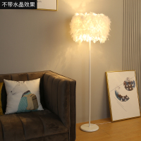 落地灯ins风羽毛卧室公主北欧客厅创意立式台灯具灯饰网红床头灯