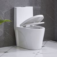 卫浴组合马桶坐便器家用抽水加大管道防臭超漩节水虹吸坐厕座便器