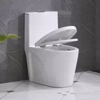 卫浴组合马桶坐便器家用抽水加大管道防臭超漩节水虹吸坐厕座便器