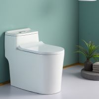 家用马桶陶瓷防臭节水小户型卫生间卫浴洁具坐便器