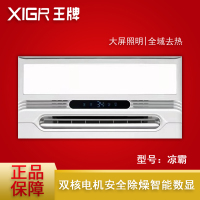 XIGR王牌 凉霸 吊顶凉霸 智能吹风换气二合一嵌入式厨房卫生间凉霸