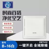 顶回美 智能电器(B-16)集成吊顶吹风换气二合一换气扇