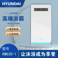 HYUNDAI韩国现代浴霸吊顶电器(KM630-1)集成吊顶式风暖卫生间家用取暖五合一嵌入式浴室