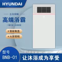 HYUNDAI韩国现代浴霸吊顶电器(BNB-01)集成吊顶式风暖卫生间家用取暖五合一嵌入式浴室