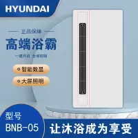 HYUNDAI韩国现代浴霸吊顶电器(BNB-05)集成吊顶式风暖卫生间家用取暖五合一嵌入式浴室