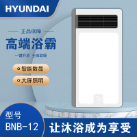 HYUNDAI韩国现代浴霸吊顶电器(BNB-12)集成吊顶式风暖卫生间家用取暖五合一嵌入式浴室