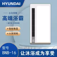 HYUNDAI韩国现代浴霸吊顶电器(BNB-16)集成吊顶式风暖卫生间家用取暖五合一嵌入式浴室