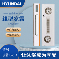 HYUNDAI韩国现代凉霸吊顶电器(凉霸1065-1)集成吊顶式吹风换气二合一嵌入式浴室