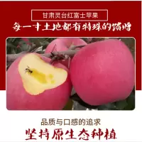 【72小时发货】【礼品果】甘肃灵台苹果10斤80起步三层纸袋精品果（1件为一箱）