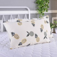 枕头一只装学生宿舍单人韩式可爱女生情侣双人家用一对枕芯带枕。