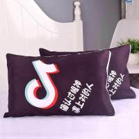 格子套装夏季卡通单人枕头粉底白格枕芯带枕套字母单个满天星印花