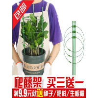 店庆特惠花架爬藤架花支架植物支架爬藤支架杆花支撑杆花卉固定架子铁线莲