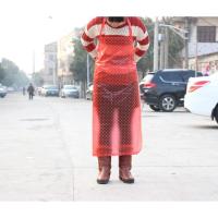 洗宠物狗洗澡衣服防水胶塑料围裙长款女加长款过膝可爱透明成人 单围裙大红