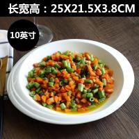 特色菜盘子家用创意水果盘中西式冷碟不规则个性饭店白碗餐盘大号 10英寸海鸥汤盘