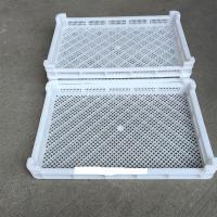 塑料筐单冻器烘干托盘 晾晒盘冷冻盘海参盘 塑料鱼盘 3号轻590*3 尺寸为:长*宽*高*毫米