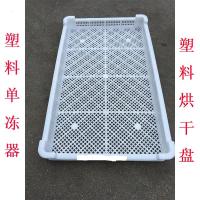 塑料筐单冻器烘干托盘 晾晒盘冷冻盘海参盘 塑料鱼盘 3号轻590*3 注:均为外径尺寸手工测量有误差