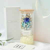 生日女生闺蜜抖音同款许愿瓶小夜灯创意实用男生可爱少女心 蓝满玫瑰[无灯]