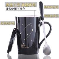 INS创意杯子星座大容量马克杯办公室水杯带盖勺情侣杯咖啡杯。 双鱼座[2.19-3.20][带盖带17