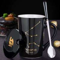 简约文艺马克杯一对情侣水杯女学生家用带盖勺陶瓷杯子潮流男 Q54-水瓶座-黑