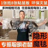 [1.2米隐形加长超强力老鼠贴]捕鼠器粘鼠板灭鼠神器老鼠粘家用