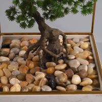 客厅别墅样板玄关罗汉松售楼处日本新盆景中式绿植房间仿真迎客松