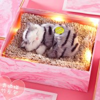 生日女生实用三八妇女节女神节送闺蜜女友特别的走心小礼品 竹炭青道猫