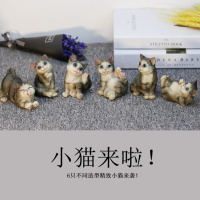 12生日仿真狗创意萌男友只小狗摆件桌面装饰品物狗送实用模型 6只猫