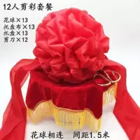 大红表彰新车汽车大颁奖车结婚剪彩开业庆典花球绸布红花交绣球 12人剪彩套餐