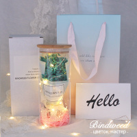 生日女生闺蜜创意实用精致少女心小花束走心有意义的友情小物 S蓝水晶月光+LED+袋