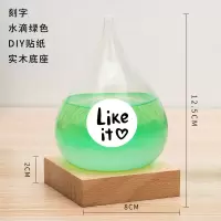 天气预报瓶风暴瓶生日diy手工三八妇女节送女友男友精致创意 水滴绿(刻字)+diy贴纸