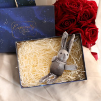 简约包装盒盒子风礼品空ins小送女友礼盒口红盒生日精美韩版 蓝色星空空盒+灰色许愿兔 长方盒:内径22*15.5*7CM