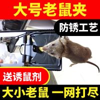 粘鼠板强力灭鼠老鼠贴老鼠夹弹簧夹子捕鼠器耗子夹灭鼠神器批发 3个大号老鼠夹[送3包诱鼠剂]