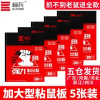 老鼠贴强力粘鼠板抓老鼠夹捉老鼠粘捕鼠器驱鼠灭鼠神器家用一窝端 5张装【加大加厚】